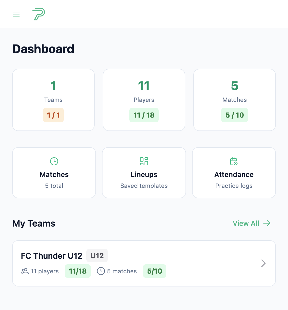 Pitch Planner dashboard showing teams, players, matches, lineups, attendance, and a youth team summary